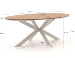 Bellagio Avenza/Fidenza oval 220 cm Gartenmöbel-Set 5-teilig verstellbar