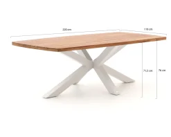 Bellagio Induno Dänisch oval Gartentisch 220x110 cm
