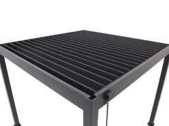Cedrino Pergola 300x300x255 cm