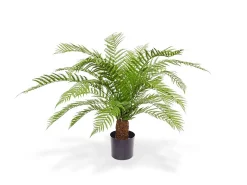 Designplants Alsophillia Farn Kunstpflanze (h: 80 cm)