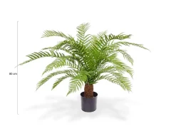 Designplants Alsophillia Farn Kunstpflanze (h: 80 cm)