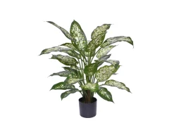 Designplants Dieffenbachia Kunstpflanze (h: 60 cm)
