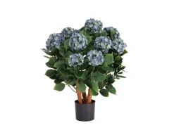 Designplants Hortensie Kunstpflanze (h: 80 cm)