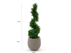 Designplants/Luca Lifestyle Buxus Spirale Kunstbaum (h:100 cm) mit Bordo Balloon Blumentopf
