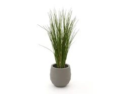 Designplants/Luca Lifestyle Gras Kunstpflanze (h:80 cm) mit Bordo Balloon Blumentopf