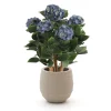 Designplants/Luca Lifestyle Hortensie Kunstpflanze (h:65 cm) mit Bordo Balloon Blumentopf
