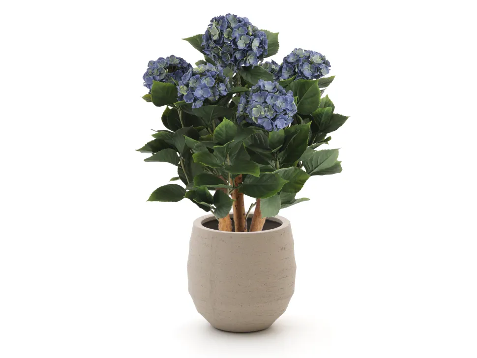 Designplants/Luca Lifestyle Hortensie Kunstpflanze (h:65 cm) mit Bordo Balloon Blumentopf