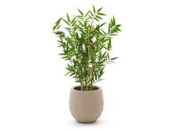 Designplants/Luca Lifestyle Japanischer Bambus Kunstpflanze (h:60 cm) mit Bordo Balloon Blumentopf
