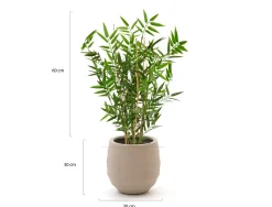 Designplants/Luca Lifestyle Japanischer Bambus Kunstpflanze (h:60 cm) mit Bordo Balloon Blumentopf