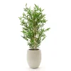 Designplants/Luca Lifestyle Japanischer Bambus Kunstpflanze (h:90 cm) mit Grigio Tall Balloon Blumentopf