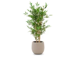 Designplants/Luca Lifestyle Japanischer Bambus Kunstpflanze (h:120 cm) mit Terreno Balloon Blumentopf