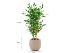 Designplants/Luca Lifestyle Japanischer Bambus Kunstpflanze (h:120 cm) mit Terreno Balloon Blumentopf