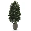 Designplants/Luca Lifestyle Lorbeer Pyramide Kunstpflanze (h:150 cm) mit Bordo Tall Balloon Blumentopf