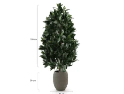 Designplants/Luca Lifestyle Lorbeer Pyramide Kunstpflanze (h:150 cm) mit Bordo Tall Balloon Blumentopf