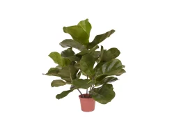 Designplants/Luca Lifestyle Lyrata Kunstpflanze (h:45 cm) mit Bordo Balloon Blumentopf