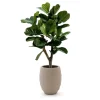 Designplants/Luca Lifestyle Lyrata Y Kunstbaum (h:130 cm) mit Bordo Tall Balloon Blumentopf