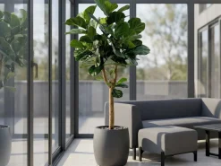 Designplants/Luca Lifestyle Lyrata Y Kunstbaum (h:220 cm) mit Grigio Balloon Blumentopf