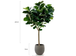 Designplants/Luca Lifestyle Lyrata Y Kunstbaum (h:220 cm) mit Grigio Balloon Blumentopf