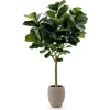 Designplants/Luca Lifestyle Lyrata Y Kunstbaum (h:220 cm) mit Terreno Tall Balloon Blumentopf