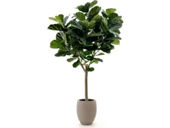 Designplants/Luca Lifestyle Lyrata Y Kunstbaum (h:220 cm) mit Terreno Tall Balloon Blumentopf