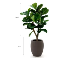 Designplants/Luca Lifestyle Lyrata Y Kunstbaum (h:130 cm) mit Terreno Tall Balloon Blumentopf