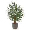 Designplants/Luca Lifestyle Oliven Bonsai Kunstpflanze (h:90 cm) mit Grigio New Egg Blumentopf