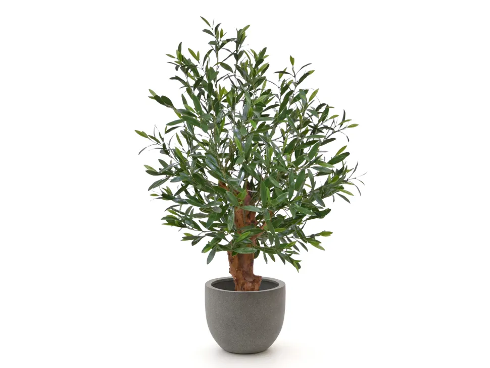 Designplants/Luca Lifestyle Oliven Bonsai Kunstpflanze (h:90 cm) mit Grigio New Egg Blumentopf