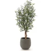 Designplants/Luca Lifestyle Oliven Kunstbaum (h:150 cm) mit Bordo Balloon Blumentopf