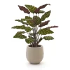 Designplants/Luca Lifestyle Red Calathea Makoyana Kunstpflanze (h:60 cm) mit Bordo Balloon Blumentopf