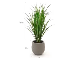 Designplants/Luca Lifestyle Reitgras Kunstpflanze (h:100 cm) mit Bordo Balloon Blumentopf