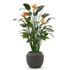 Designplants/Luca Lifestyle Strelitzia Kunstpflanze (h:145 cm) mit Ruvido Combi Blumentopf