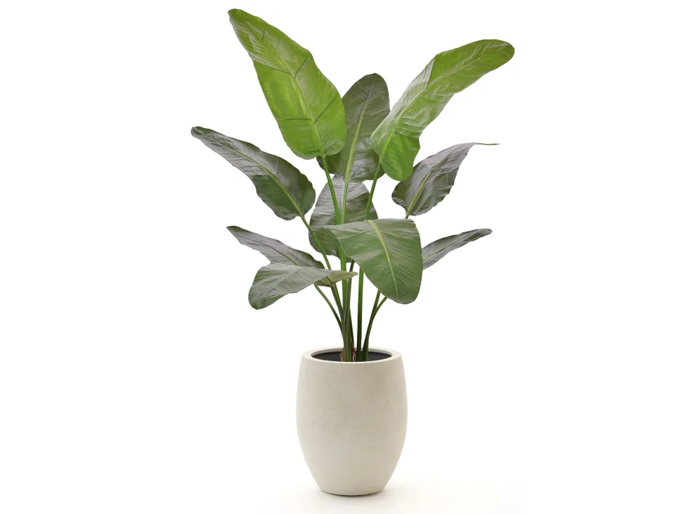 Designplants/Luca Lifestyle Strelitzia Nicolai Kunstpflanze (h:145 cm) mit Grigio Tall Balloon Blumentopf