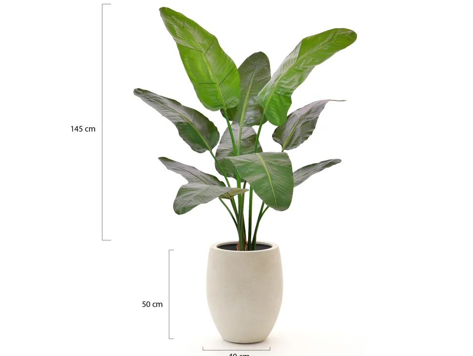 Designplants/Luca Lifestyle Strelitzia Nicolai Kunstpflanze (h:145 cm) mit Grigio Tall Balloon Blumentopf