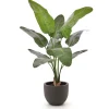 Designplants/Luca Lifestyle Strelitzia Nicolai Kunstpflanze (h:145 cm) mit Terreno New Egg Blumentopf