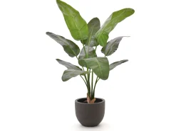 Designplants/Luca Lifestyle Strelitzia Nicolai Kunstpflanze (h:145 cm) mit Terreno New Egg Blumentopf