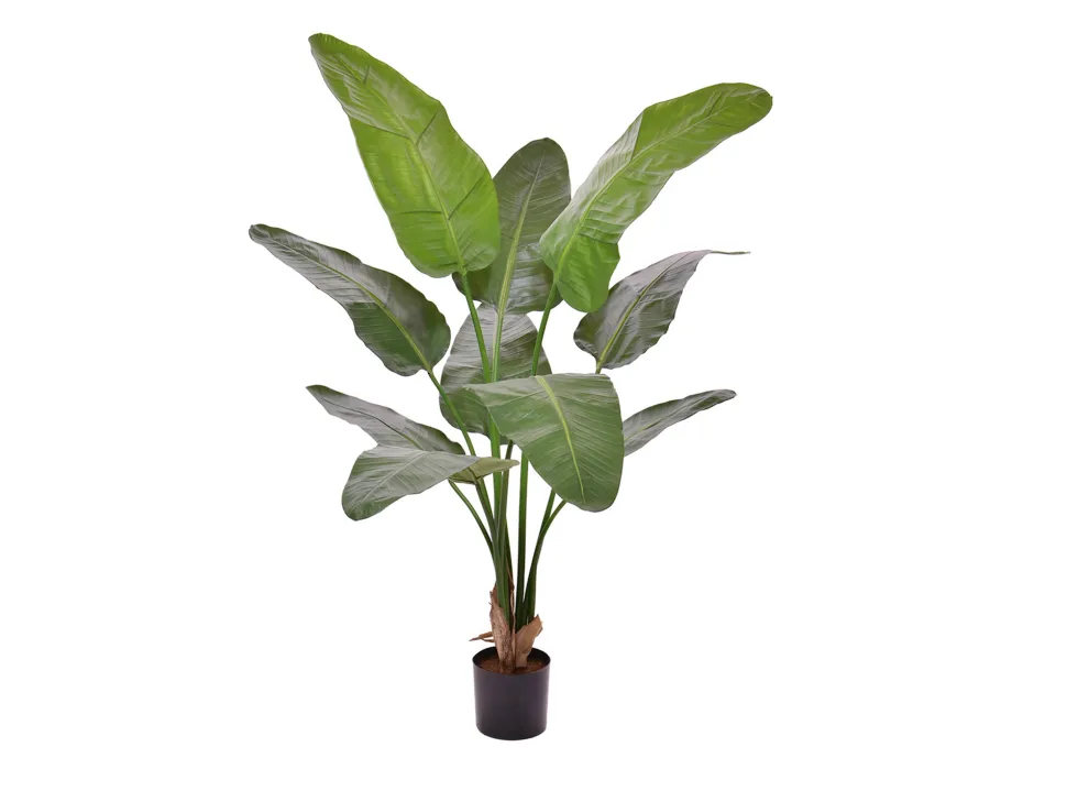 Designplants/Luca Lifestyle Strelitzia Nicolai Kunstpflanze (h:145 cm) mit Terreno New Egg Blumentopf