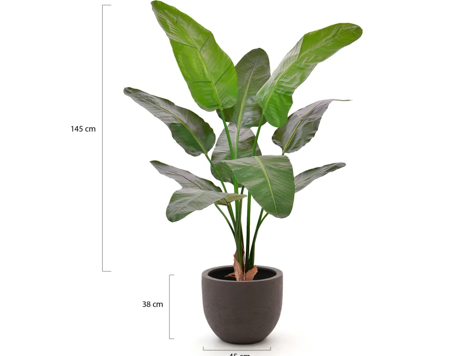 Designplants/Luca Lifestyle Strelitzia Nicolai Kunstpflanze (h:145 cm) mit Terreno New Egg Blumentopf