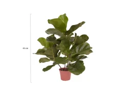 Designplants Lyrata Kunstpflanze (h: 45 cm)