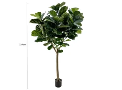 Designplants Lyrata Y Kunstbaum (h: 220 cm)