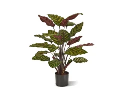 Designplants Red Calathea Makoyana Kunstpflanze (h: 60 cm)