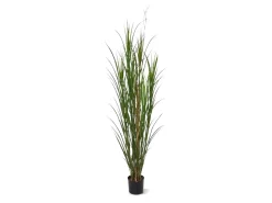 Designplants Schilfgras Kunstpflanze (h: 165 cm)