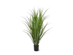 Designplants Schilfgras Kunstpflanze (h: 100 cm)