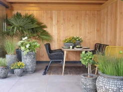 Intenso Asti Gartenstuhl