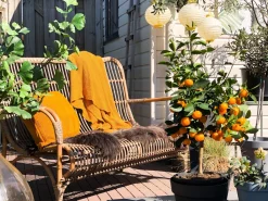 Intenso Napoli Gartensofa 128 cm