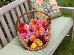 Madison Gartenbank Auflage 150x48 cm