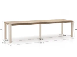 ROUGH-S Gartentisch 300x90x76 cm